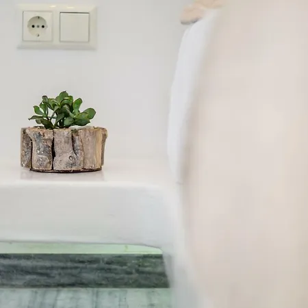 Prestige On The * Naxos City